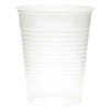 Disposable Glasses