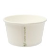 Disposable Plates & Bowls