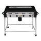 Buffalo BBQ's