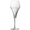 C & S Arom Up Glasses